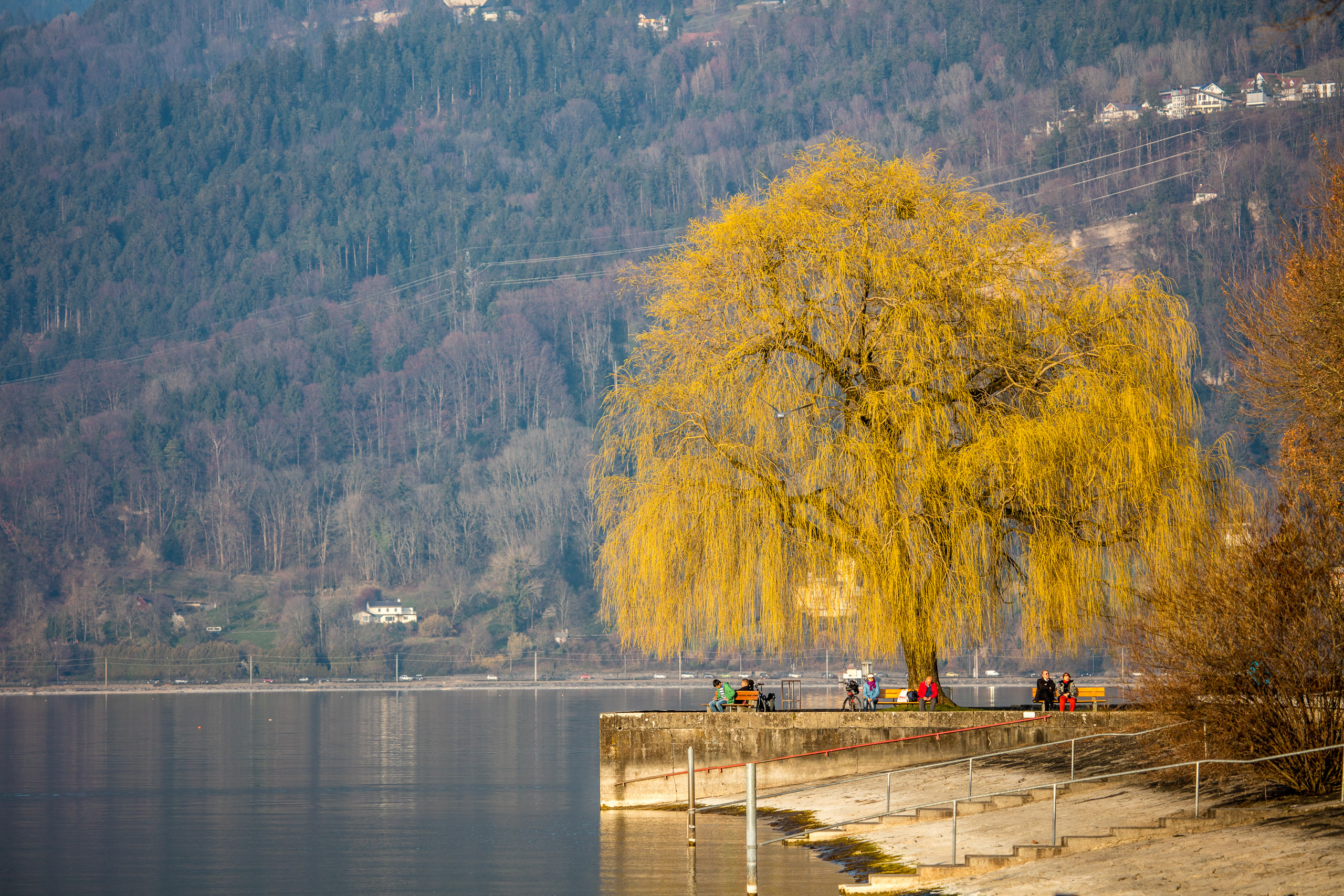 20160319172949 DP017788